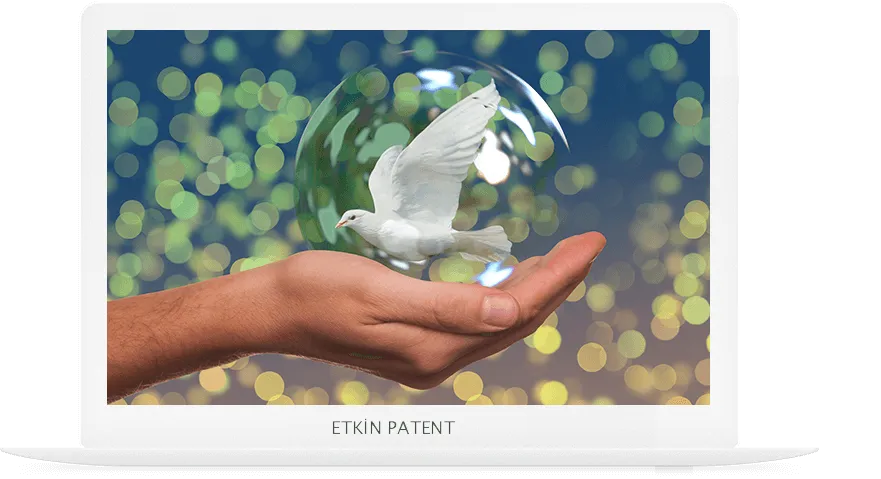 faydalı model on koruma yöntemleri-bornova patent
